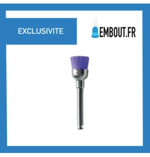 Brossette nylon Med ( purple ) RA - EMBOUT.FR - 100 pcs