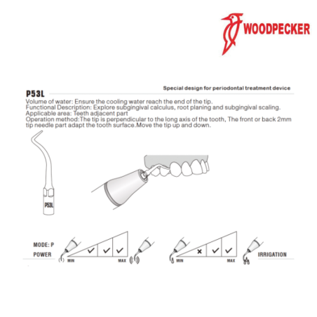 Insert P53L (PT3/PT5) - WOODPECKER