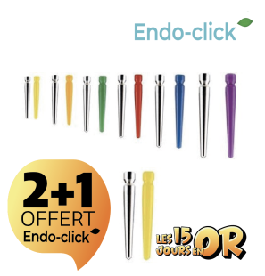 Tenons coniques - ENDO-CLICK - calcinables ou inox