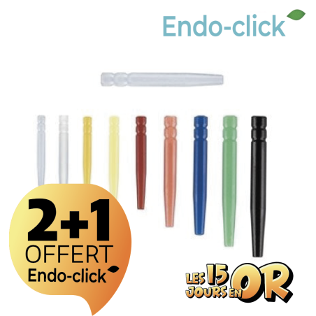 Tenons Cylindro-conique - ENDO-CLICK - Calcinables 40 pcs