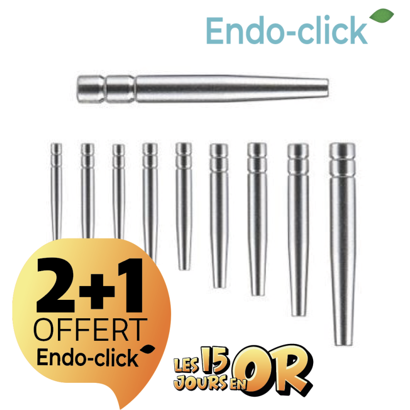 Tenons Cylindro-conique - ENDO-CLICK - Inox 20 pcs