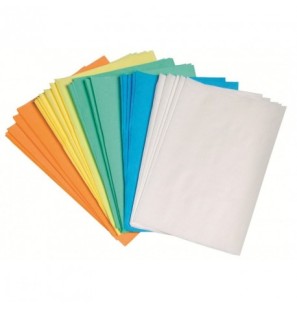 Protection Plateau - 250pcs