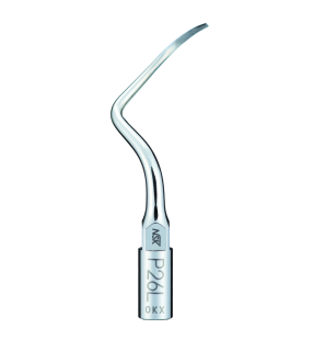 Insert N°P26L - NSK