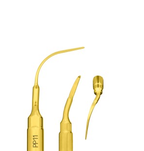 INSERT PIEZOSURGERY PP11 - MECTRON