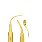 INSERT PIEZOSURGERY PP12 - MECTRON